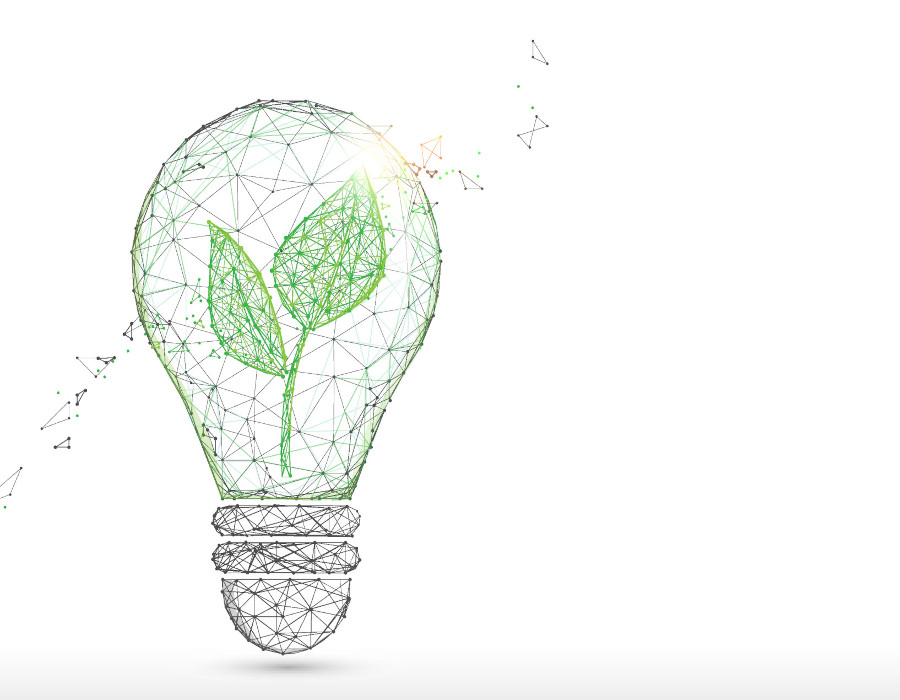 Managing Sustainable Innovations