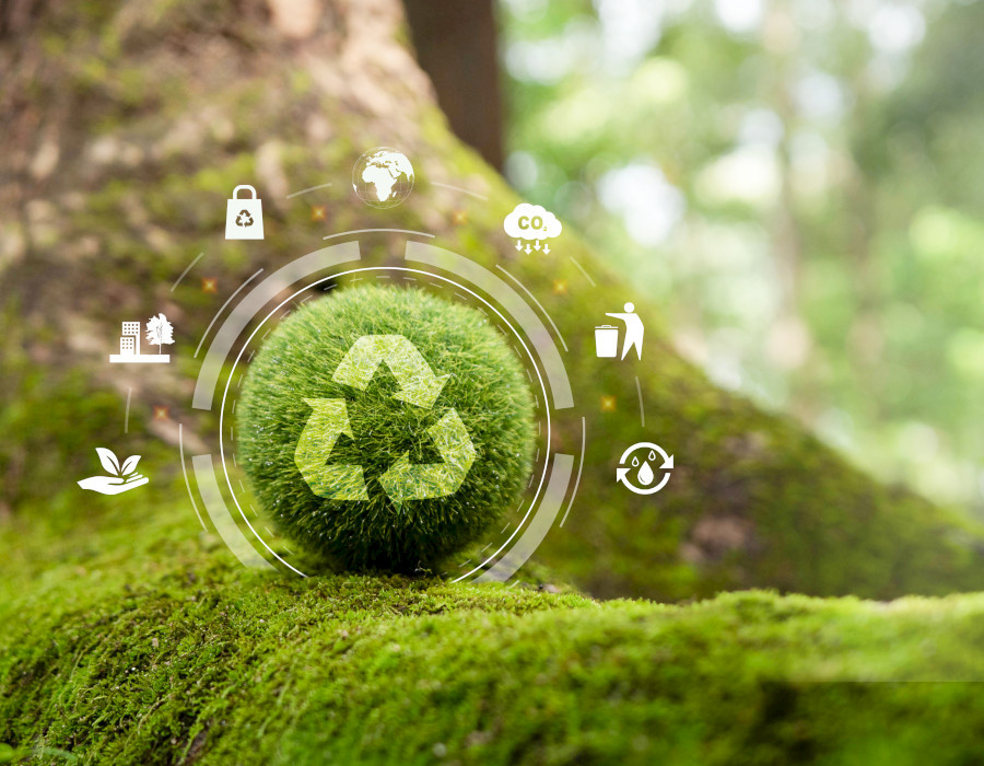 Seminar Transformation to a circular economy
